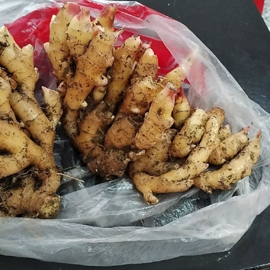 天门市小黄姜