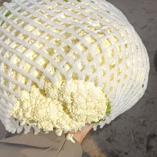 邯郸白花菜花  北部地区最大的农产品交易市场，欢迎实地考察！