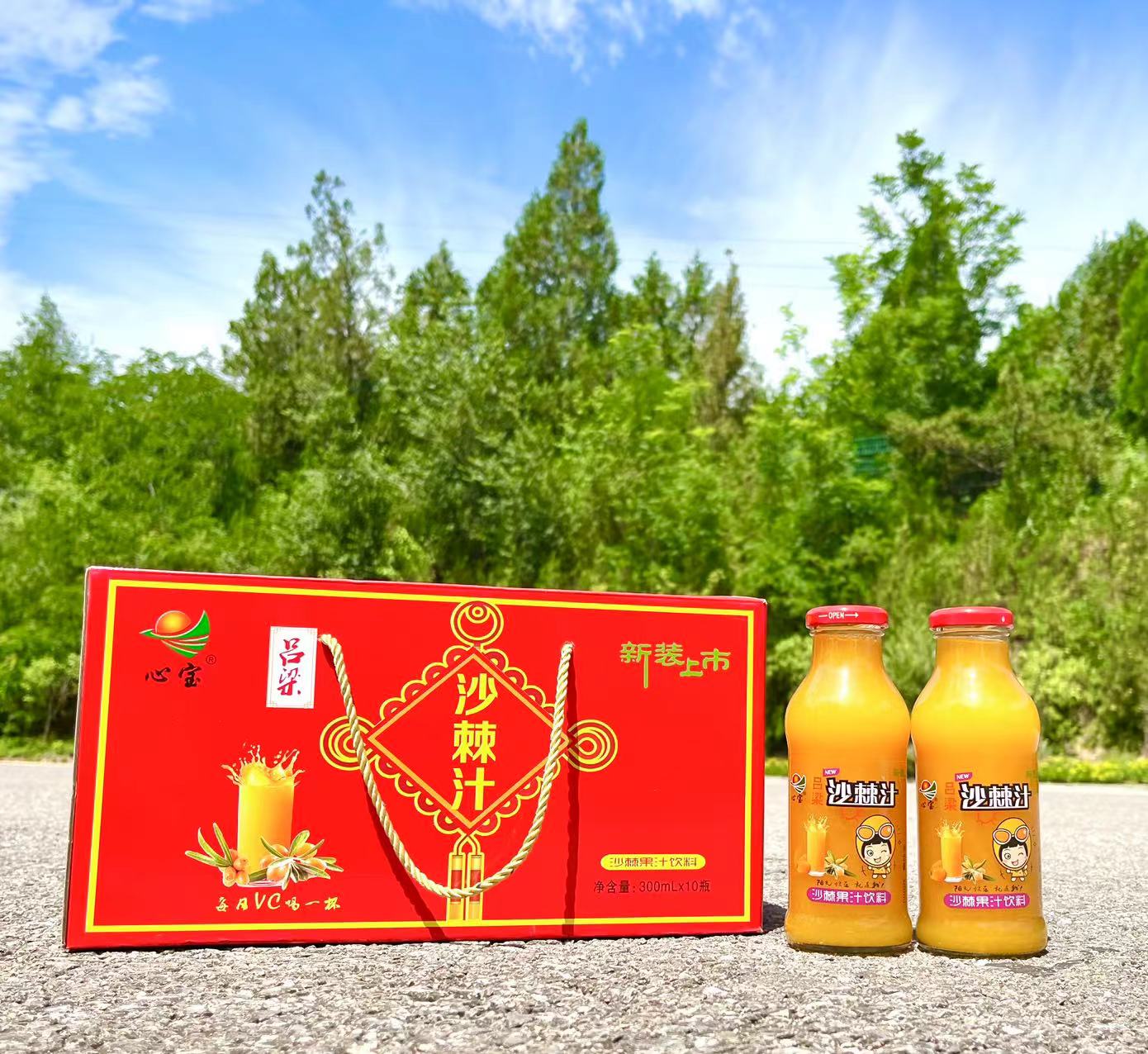 山西特產(chǎn)呂梁沙棘汁