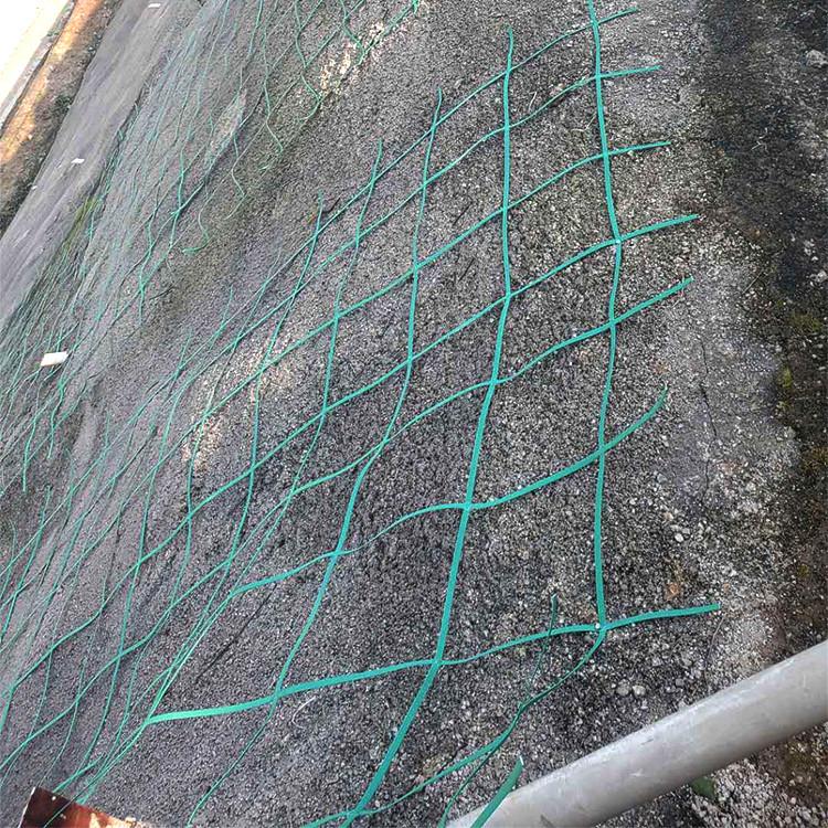 绿色攀爬网 植物爬藤网 边坡网  绿色土工格栅