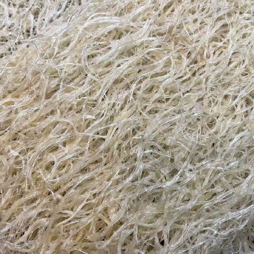 广州鱼翅饼