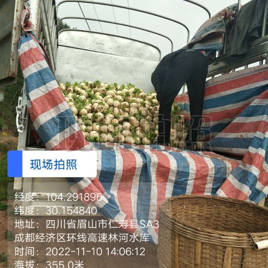 仁寿县水晶泥萝卜
