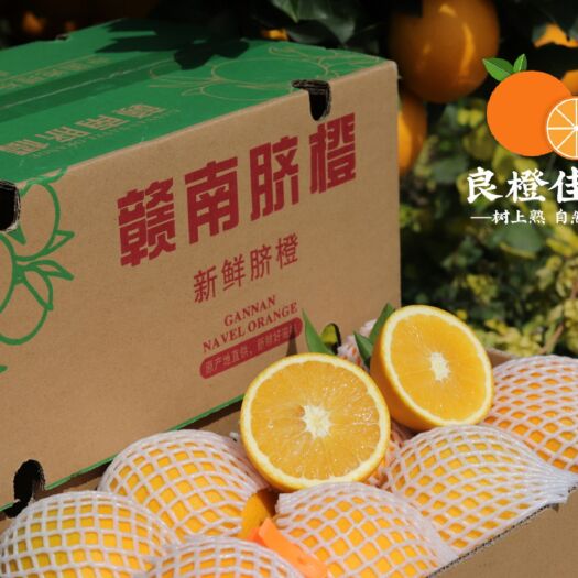 寻乌县赣南脐橙果园现摘现发精品大果农家种植寻乌脐橙
