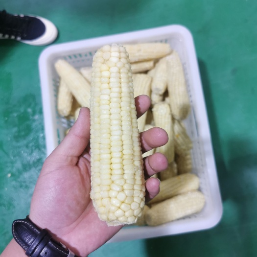 冻棒玉米，接受OEM批发团购，品质口感过关。欢迎老板来电咨询
