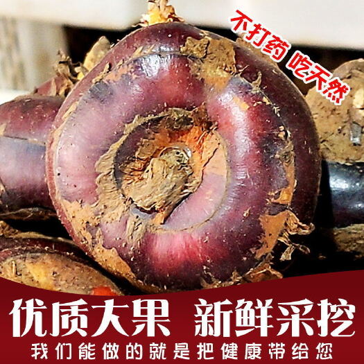 贺州新鲜马蹄