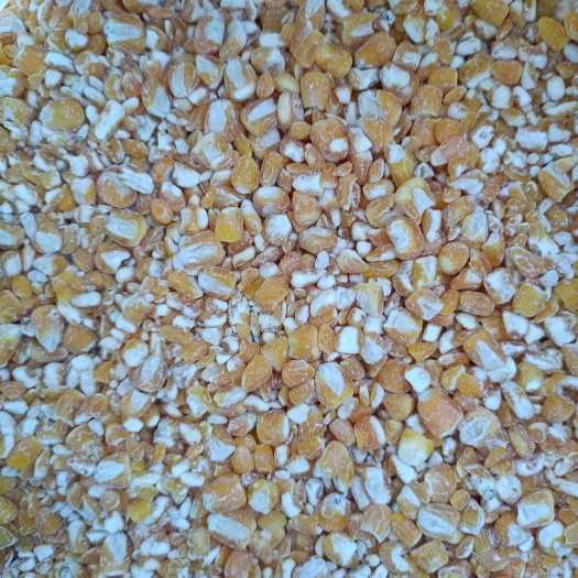 郓城县过风过筛净粮碎玉米 毛粮 净粮 玉米下脚料