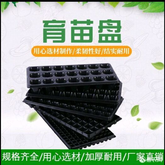 莘县穴盘/育苗盘 育苗基质穴盘各种型号齐全。24小时发货