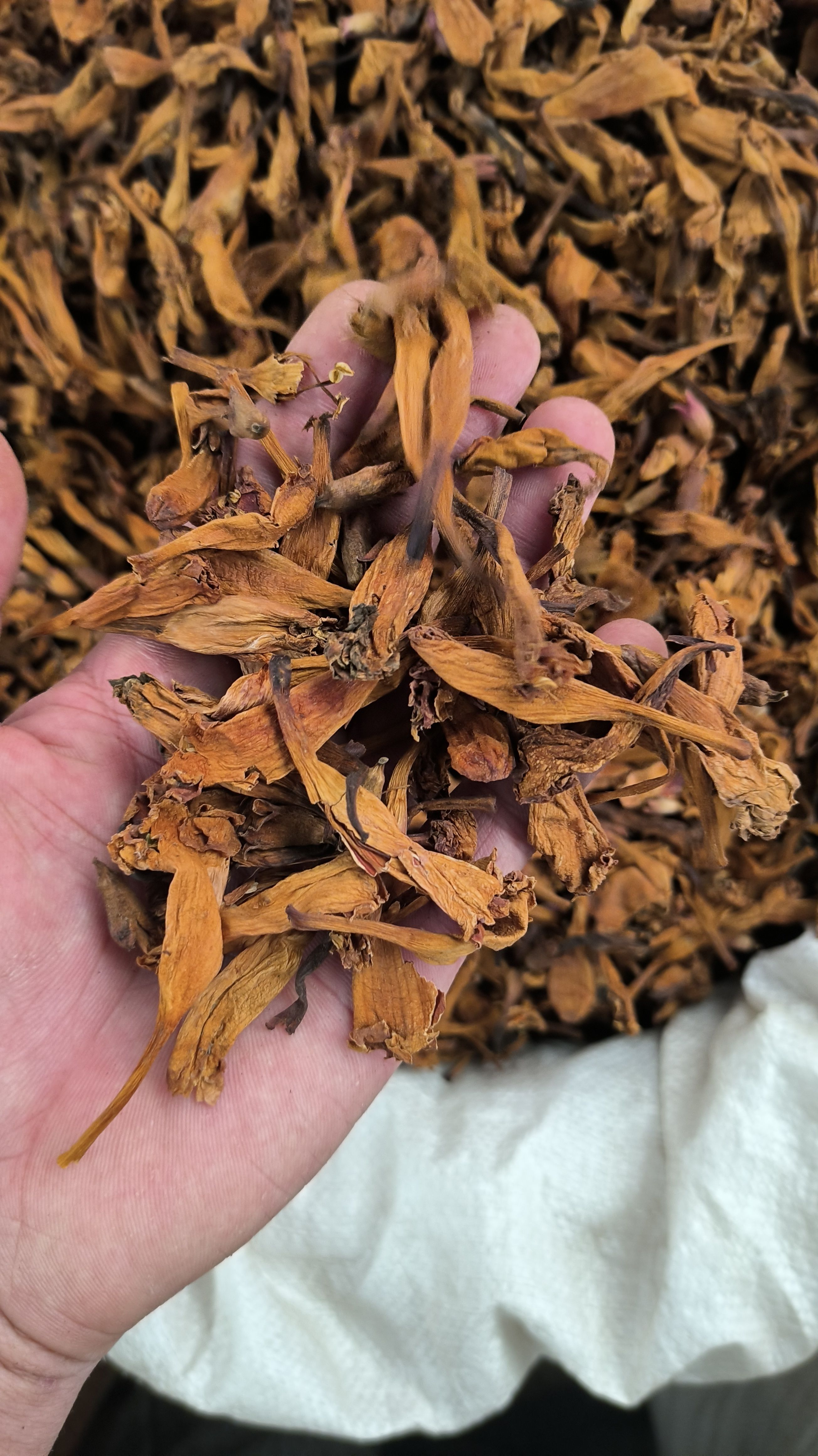 凌霄花 无硫正品 量大从优欢迎咨询选购各种中药材……