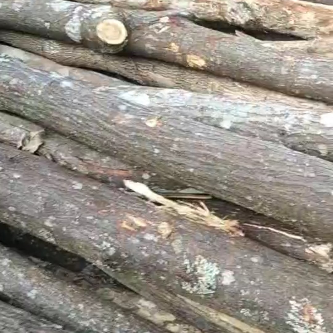有大量杂木，2000吨左右，有看中的老板联系