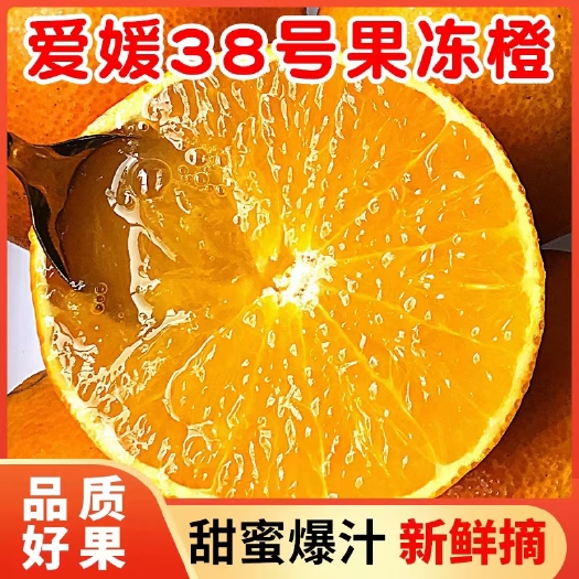 丹棱县爱媛橙  四川省眉山市丹棱县爱媛38号果冻橙新鲜采摘果园直发