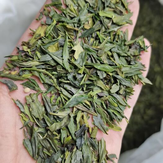 湄潭县贵州绿茶雀舌茶片2024新茶湄潭翠芽茶叶明前碎片口粮茶批发价