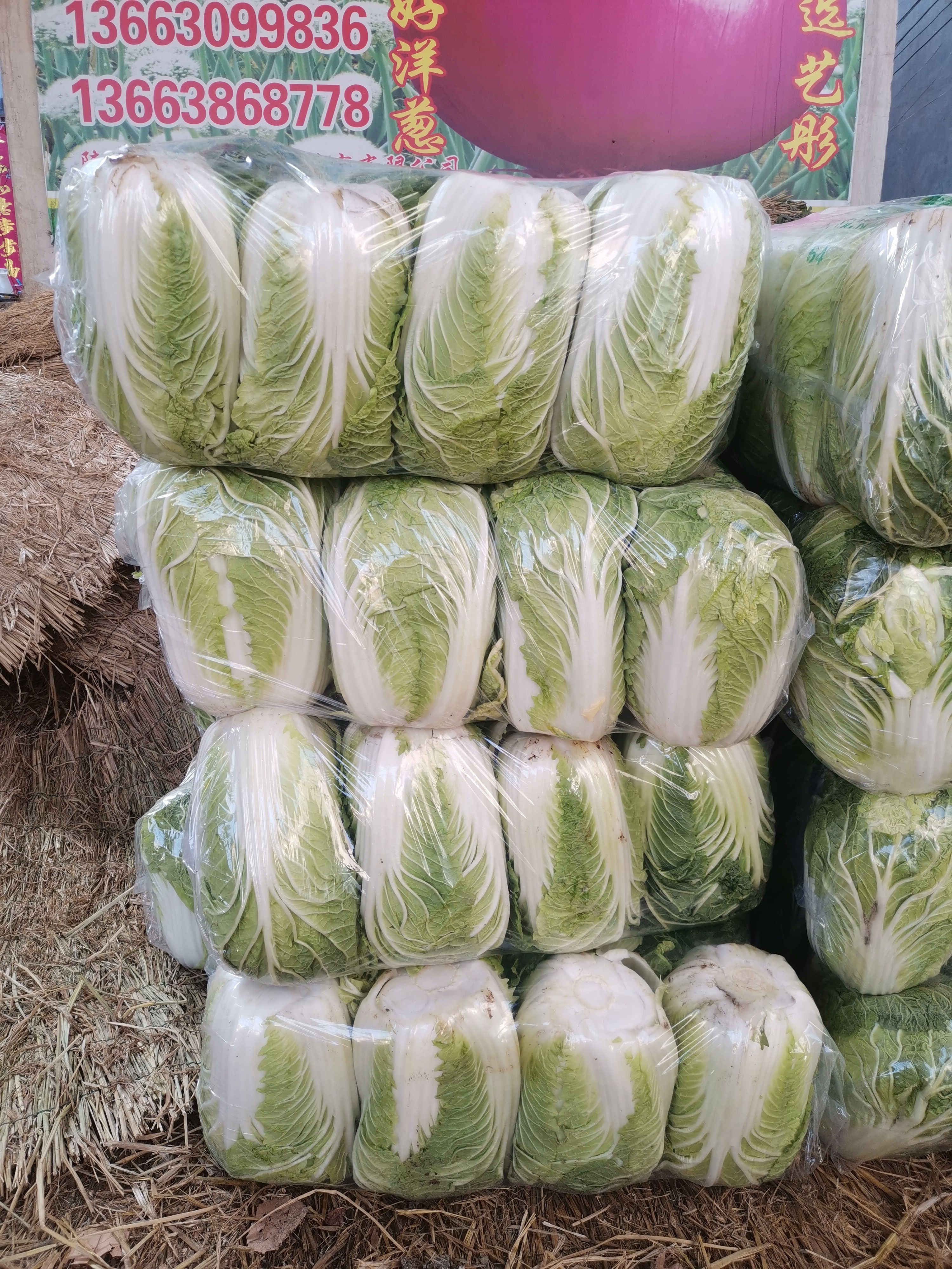 万亩蔬菜基地大量上市，有需要的话联系我