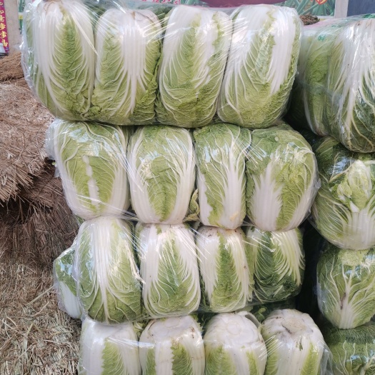 汝州市万亩蔬菜基地大量上市，有需要的话联系我