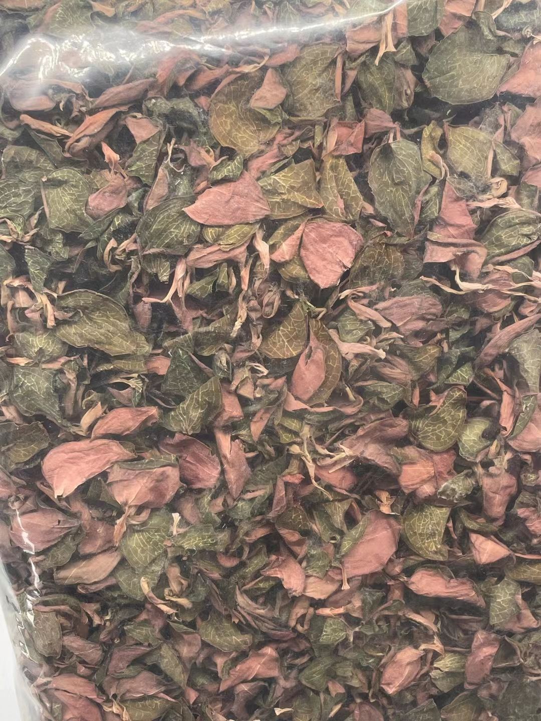 金线莲干品