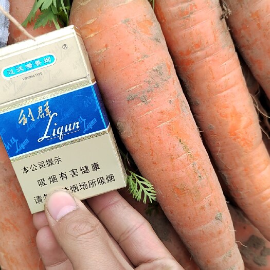 开封红萝卜，通货个个脆甜