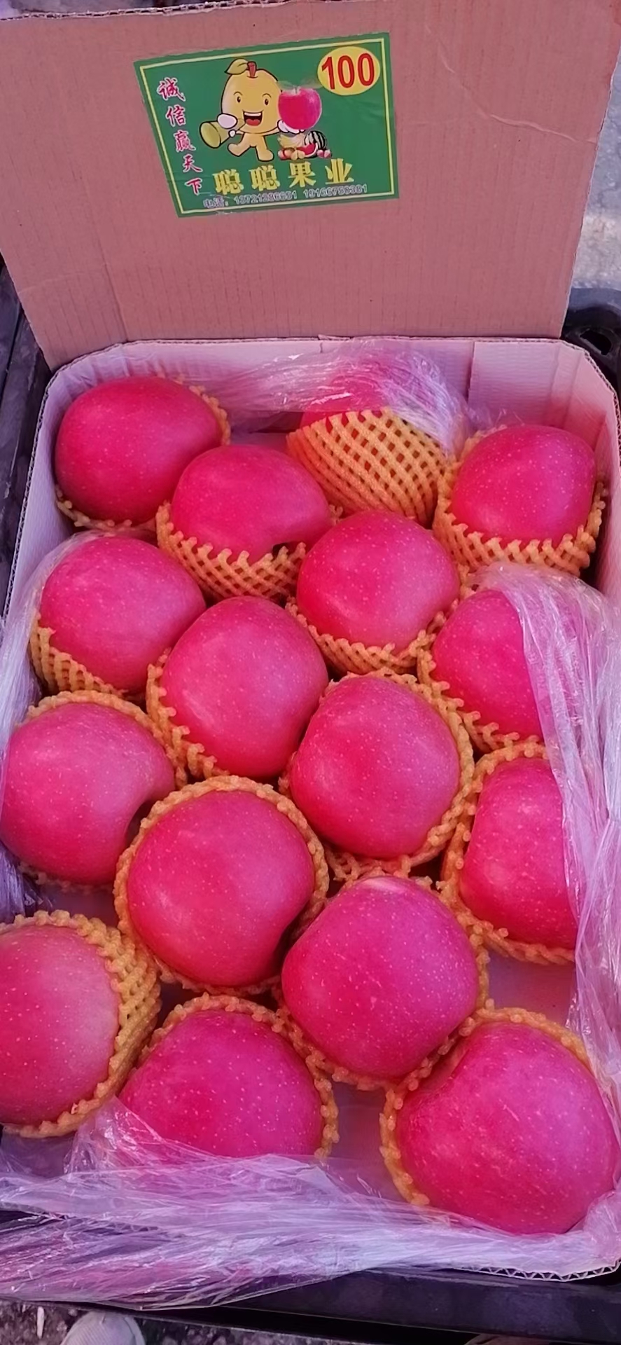 河北邢臺(tái)亮生果業(yè)