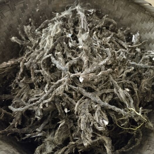 婺源县石昌蒲