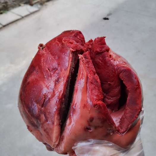 郑州熟驴心
