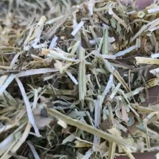 正阳县花生秧