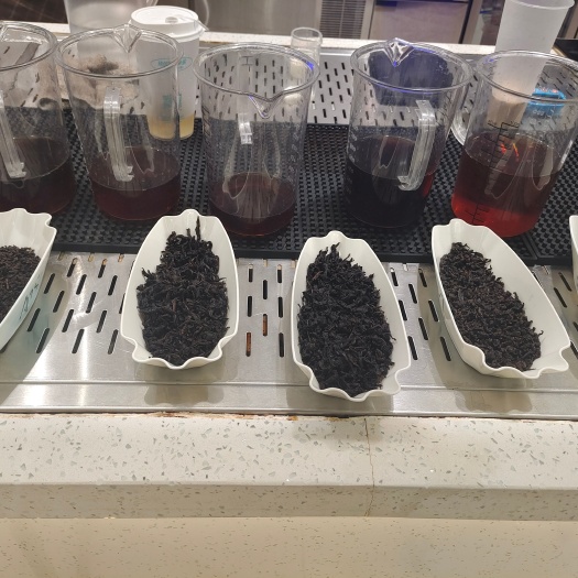南宁饮品茶茶叶供应！