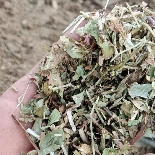 枣阳市花生秧