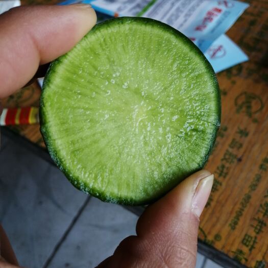 胶州市青皮青肉水果萝卜