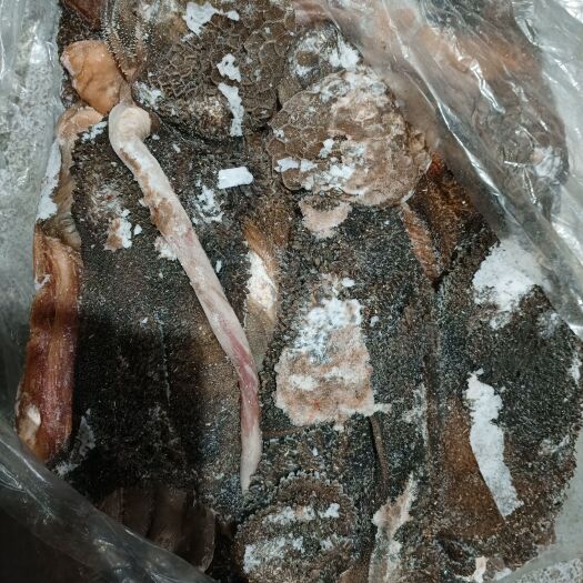 郓城县纯干免洗羊毛肚