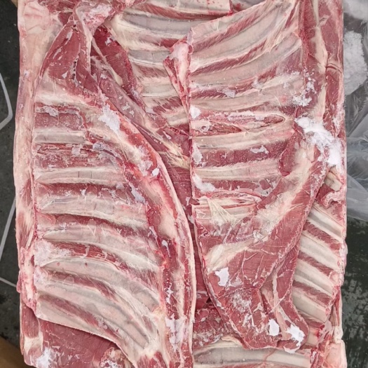 郑州兰羔羊排，瘦度高质量保证，肉质嫩
