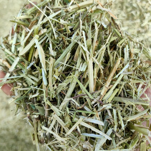 正阳县花生秧草段、花生秧细糠、花生秧颗粒、花生秧叶粉