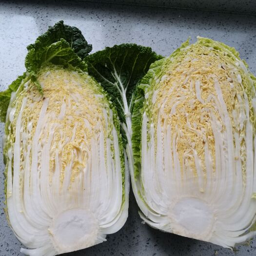 洪江市黄心白菜