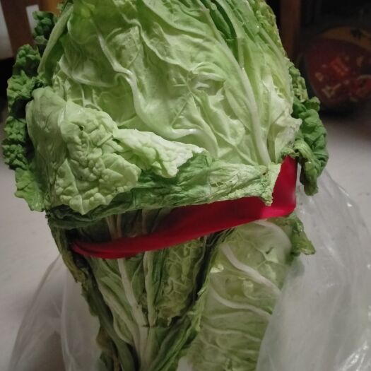 沂水县白菜