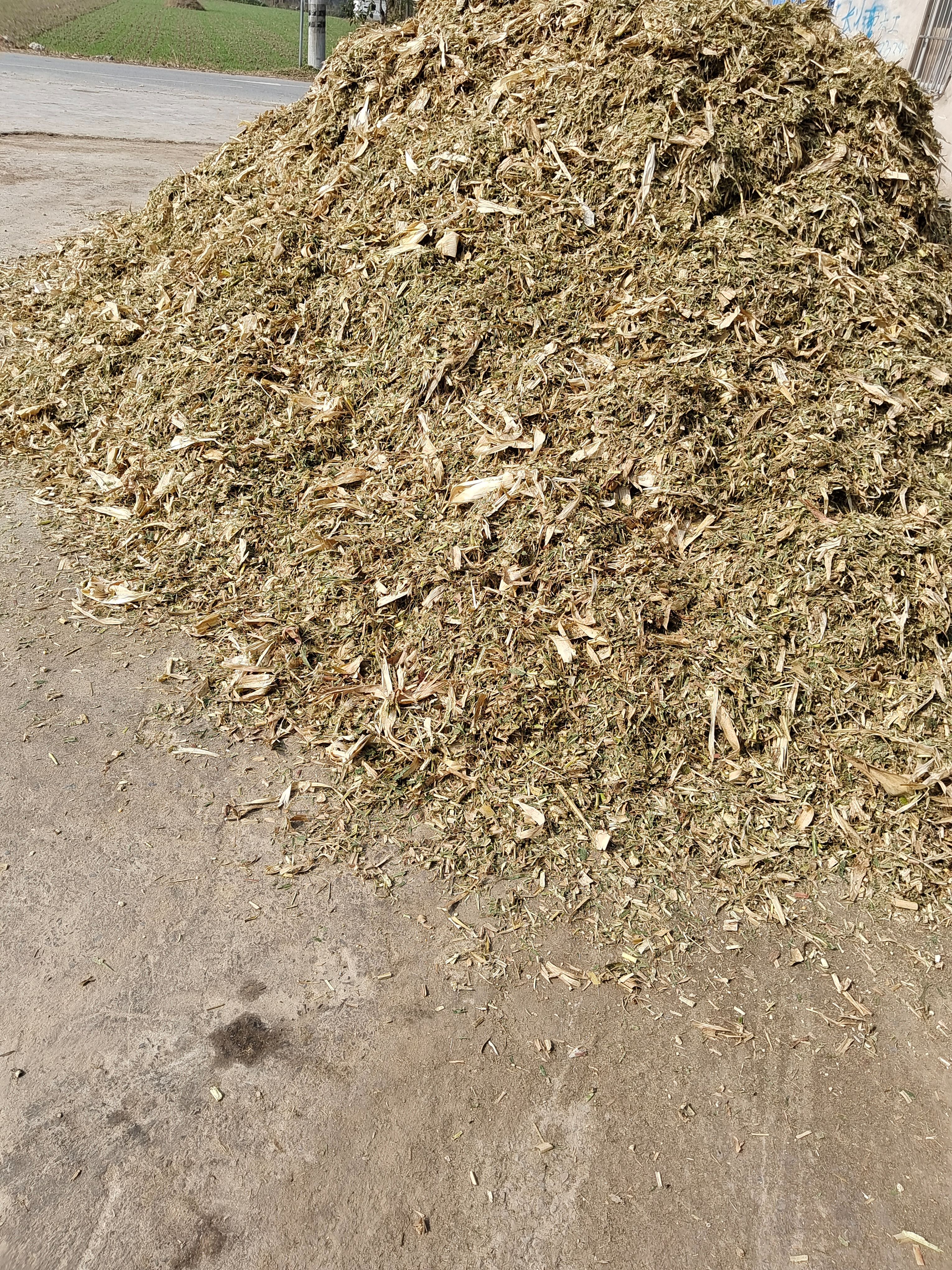 青储草