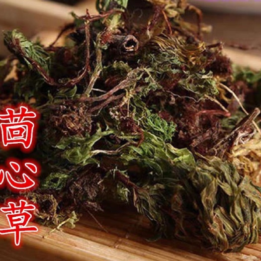亳州回心草  回心草茴薪草 云南回心草 无硫干货批发零售