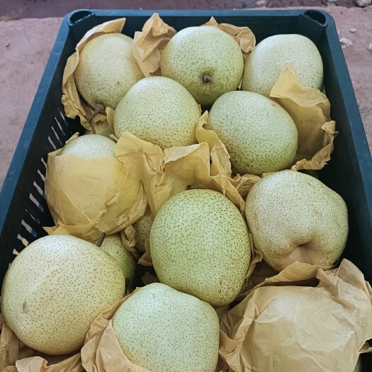 泸西县精 品 雪花梨