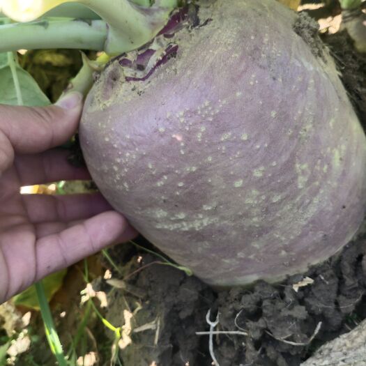 博兴县好货，好价