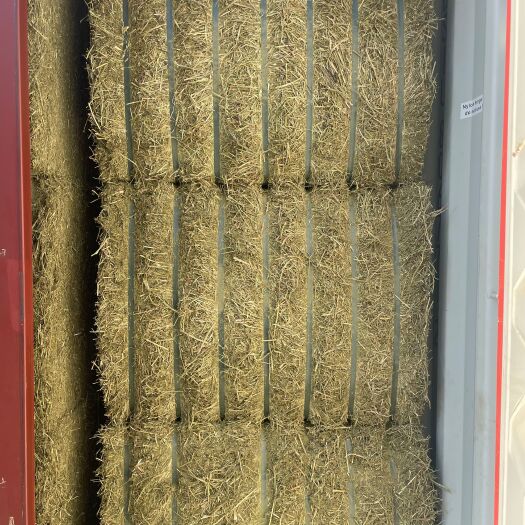 大连西班牙苜蓿草大连港