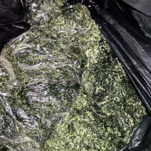 杭州可食用新鲜艾草