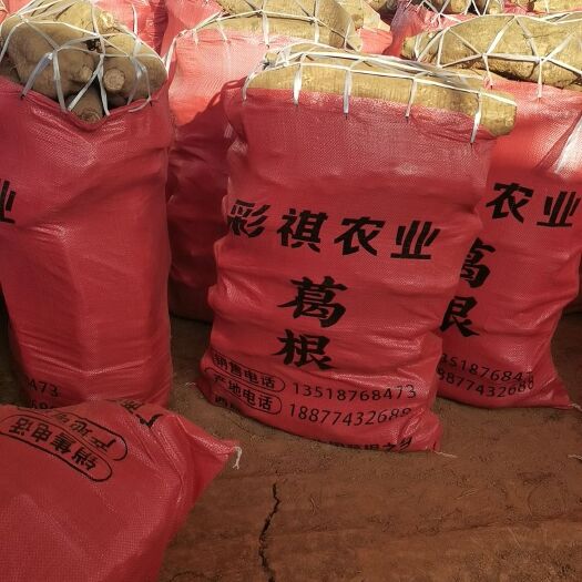 藤县广西优质大葛根，清甜无渣。直销云南贵州专线。