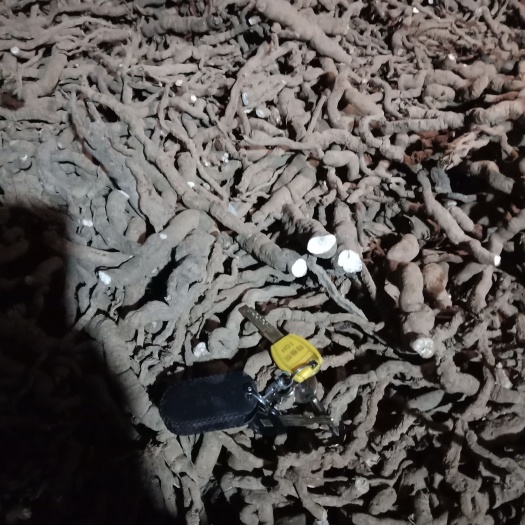粉防己，防己，土木香，统个干货，粉质好