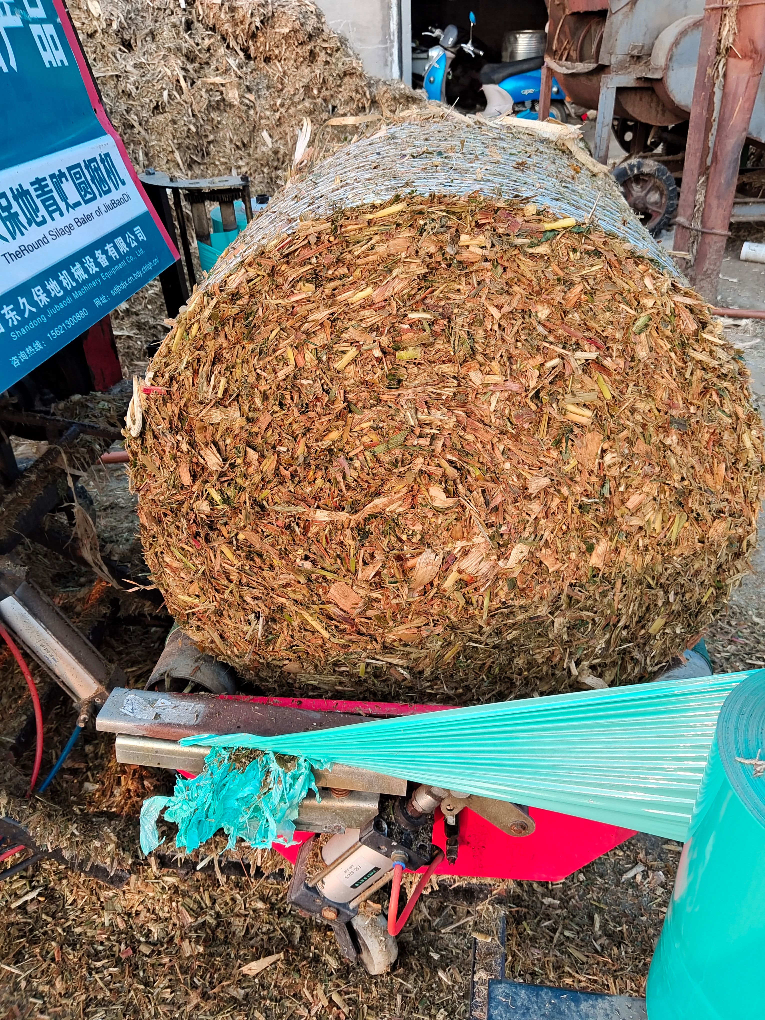 青储草