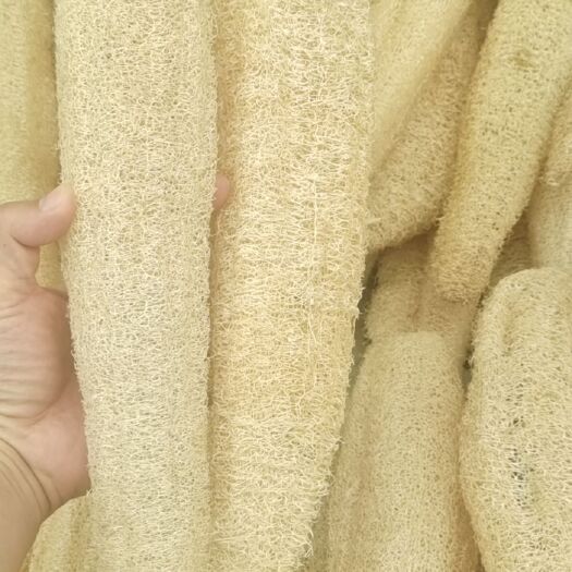 通化丝瓜络30-40cm整根