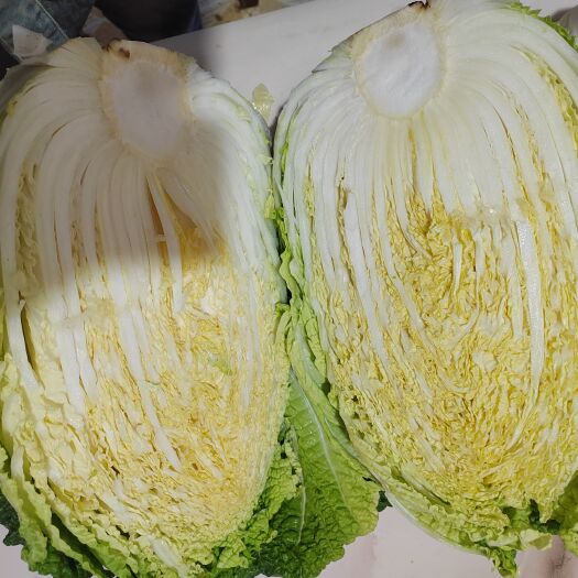 曲沃县黄心大白菜