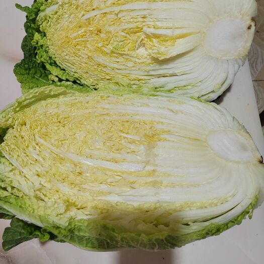 曲沃县黄心大白菜