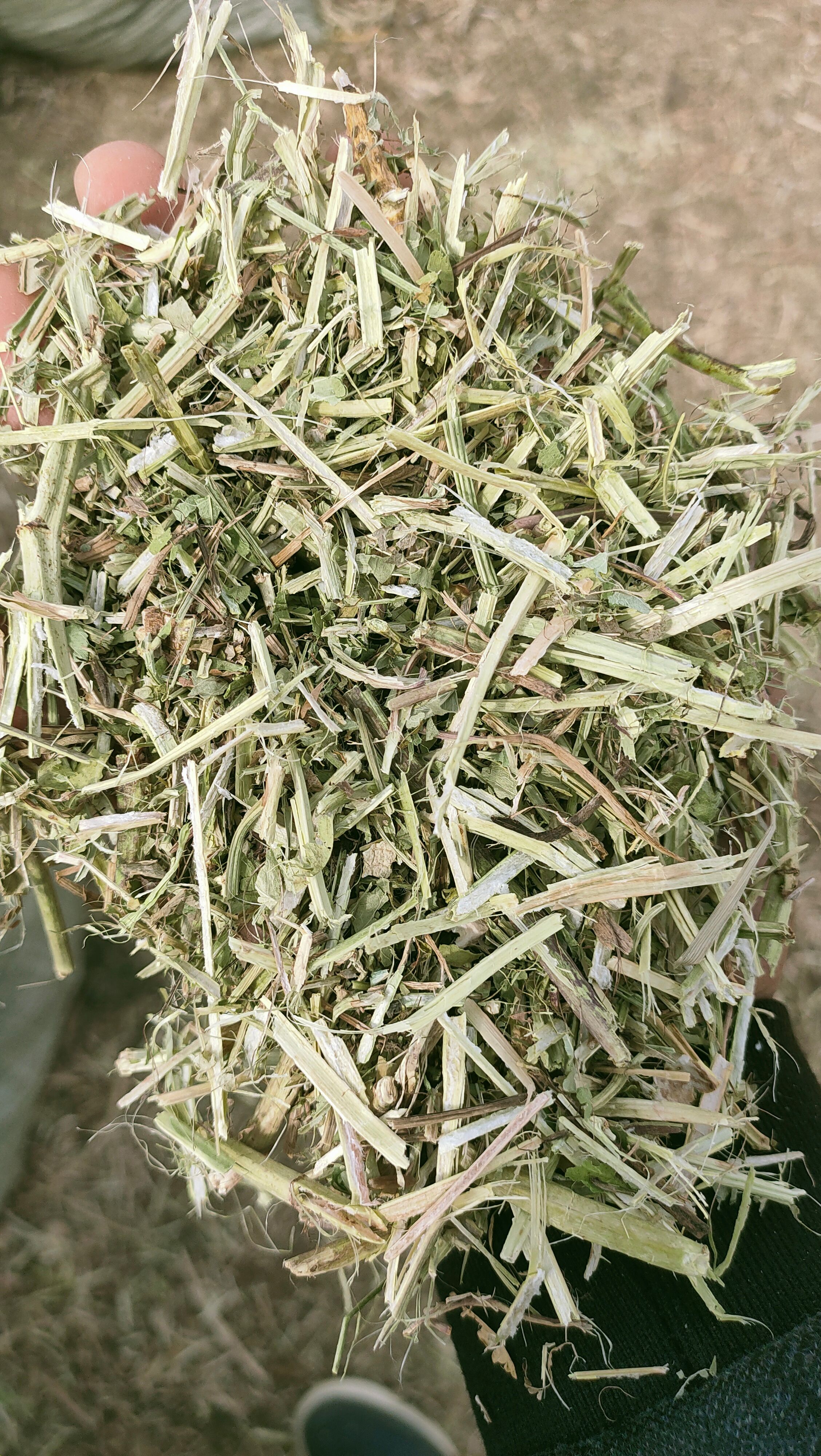 干草  秸秆草料花生秧、花生秧草段、花生秧草粉、花生秧颗粒