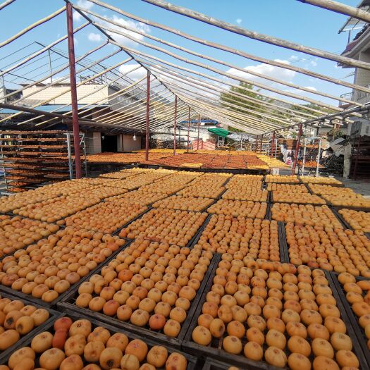 平乐县供小批发商:精选大柿饼（6-7个一斤），现货发售!
