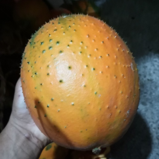木鳖果