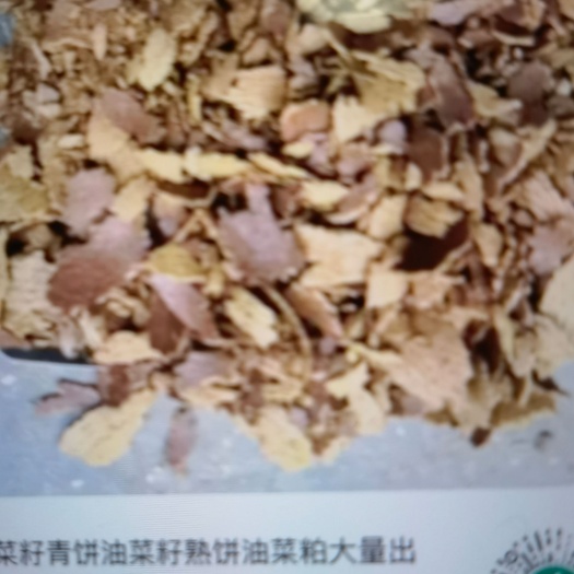 德阳大量岀售油菜籽饼油菜籽粕蛋白36以上黄色片状