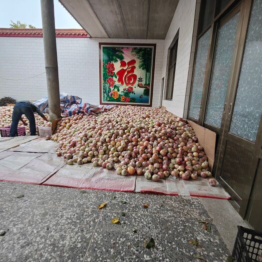 临猗县黄河流域山地果