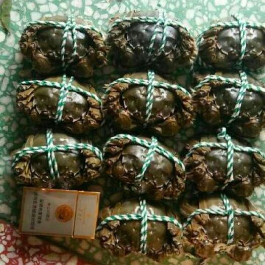 洪湖市清水大闸蟹 螃蟹 食用公蟹3.5公