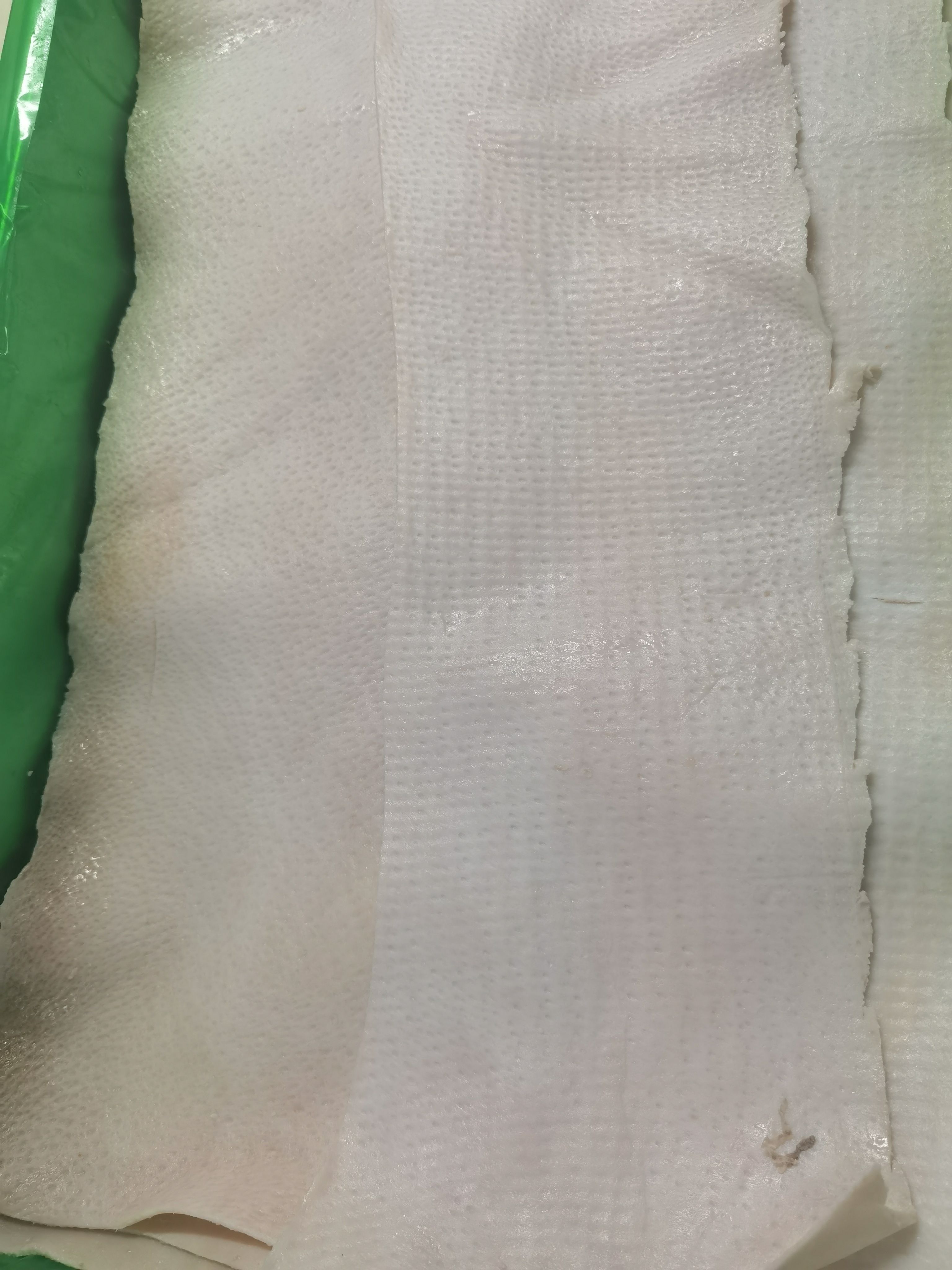 上海金同盛（冻猪背皮）